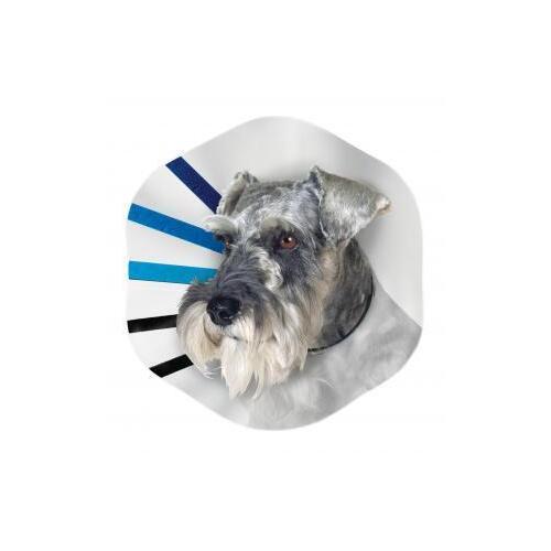 Kong EZ Clear E Collar Medium 7.5-10"