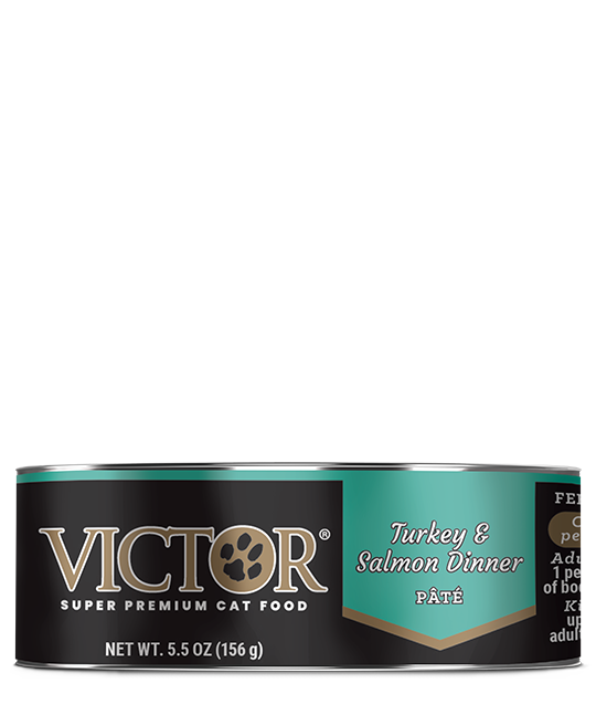 Victor Turkey and Salmon Dinner Pate Cat Wet Food